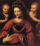 LUINI, Bernardino St.Catherine Sweden oil painting artist